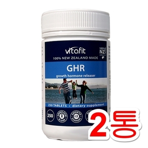 2통X 비타핏 GHR 250정