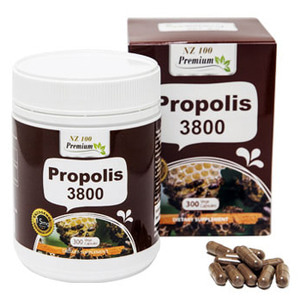 프로폴리스+엔조제놀 3800 300베지캡슐 엔젯100/플라보노이드/후라보노이드