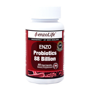 엔조라이프 유산균 880억 프로바이오틱스+프리바이오틱스 60캡슐 ENZO Probiotics+Prebiotics 락토바실러스 프락토올리고당 자일로올리고당
