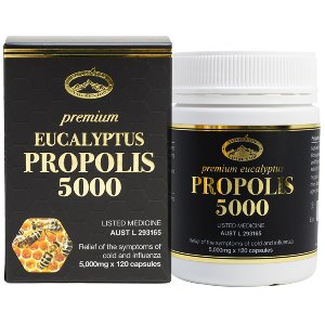 [네이쳐스탑] 호주산 프로폴리스 추출물 프리미엄 유칼립투스 5000mg 120캡슐 EUCALYPYUS Propolis 호주 직구판매