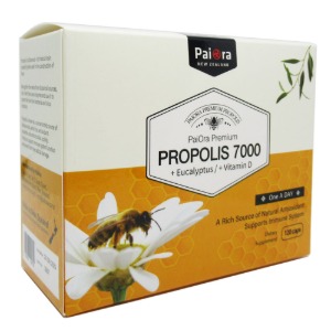 파이오라 프로폴리스 7000 120캡슐 프리미엄 유칼립투스+Vit D 함유